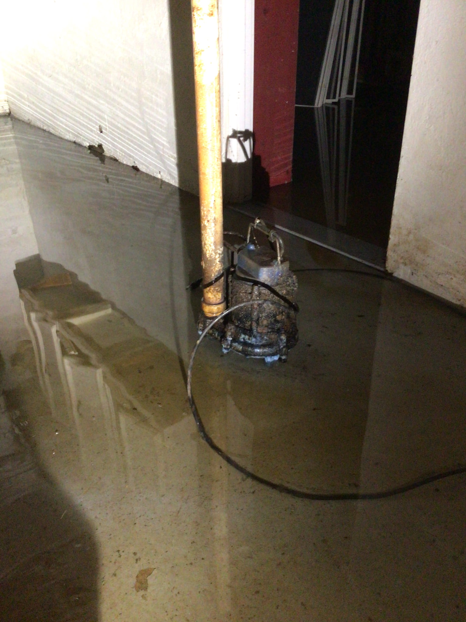 Flooded Basement