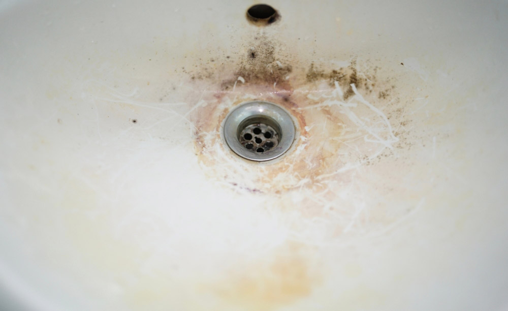 mold around drains