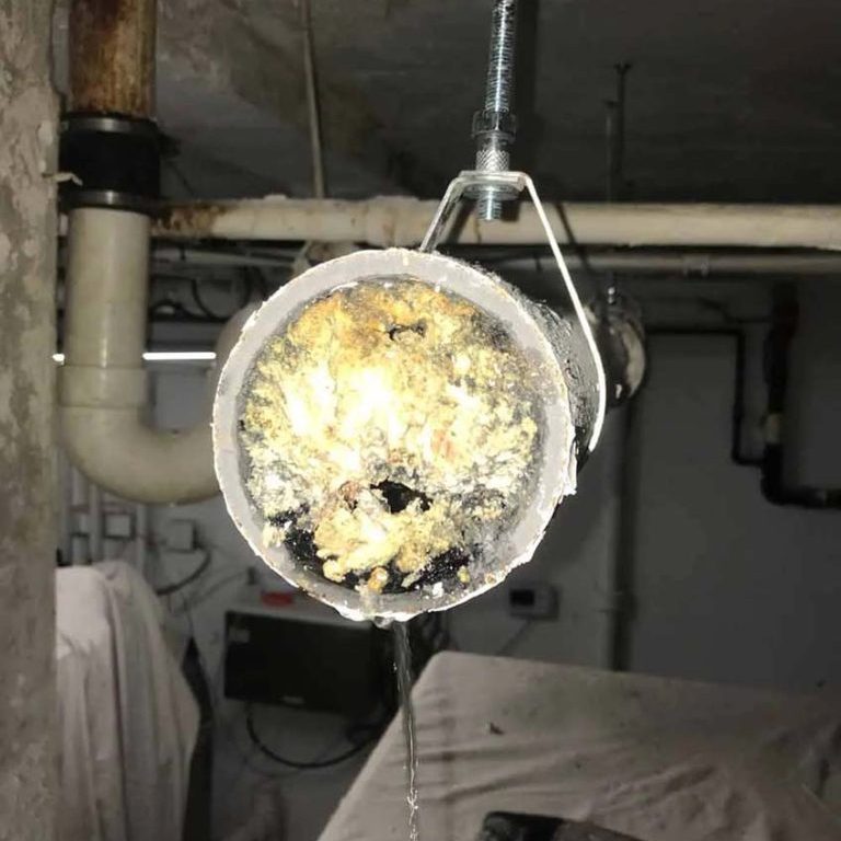 Clogged kitchen drain