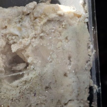 Section sewer pipe. Blockage in the pipe. Stand for experiments.