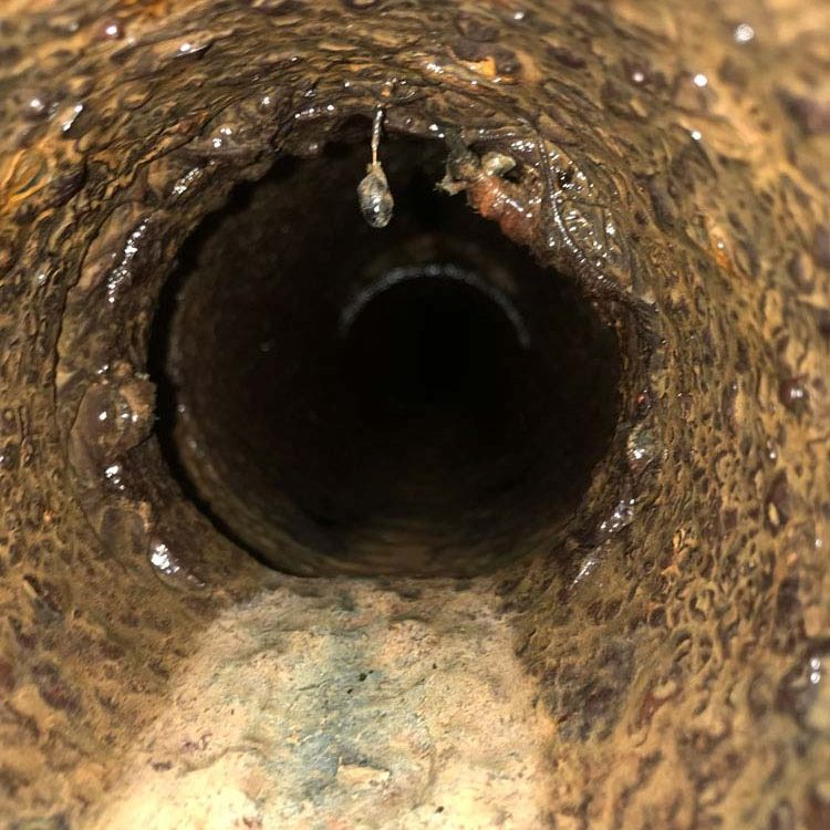 how-to-avoid-foul-smelling-drains