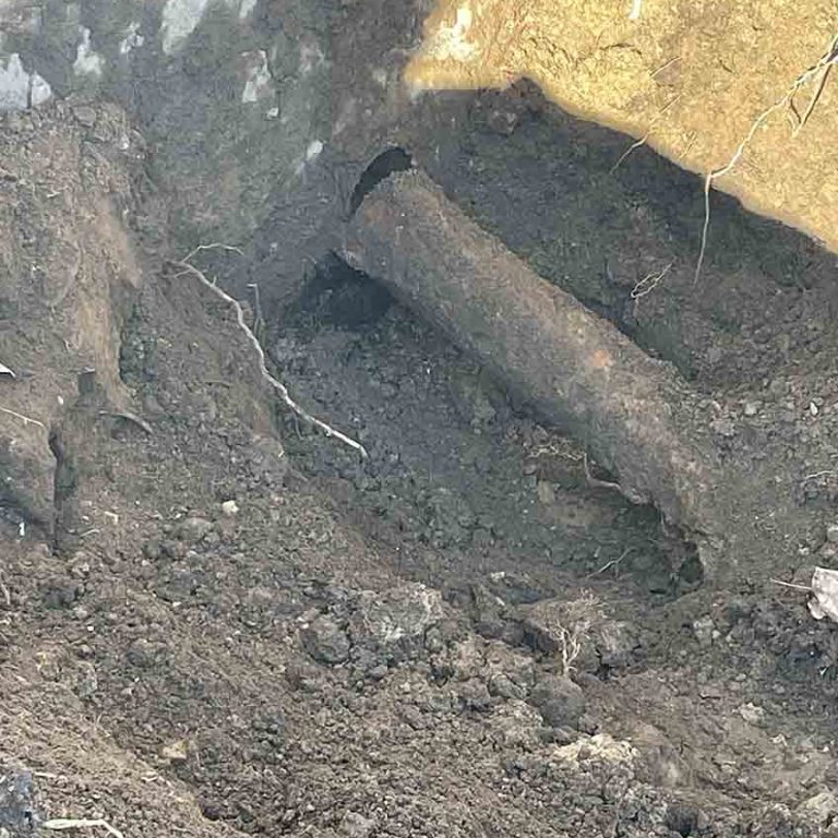 how-to-deal-with-tree-roots-in-your-pipes
