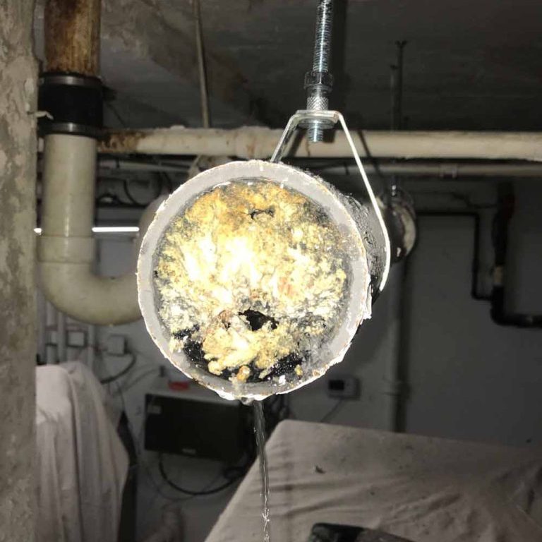 is-drain-cleaning-on-your-own-ok